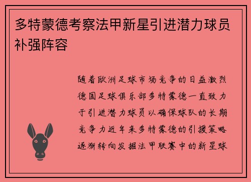 多特蒙德考察法甲新星引进潜力球员补强阵容