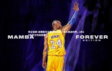 利记官网-波黑胜芬兰晋级附加赛，卓尔绝杀妙传，3月25日芬兰对战波黑